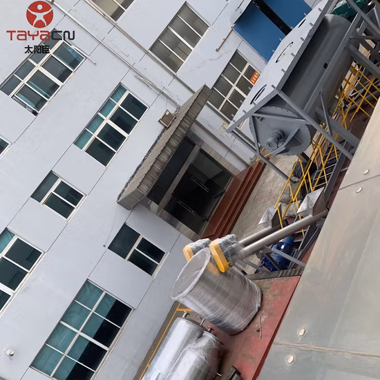 Horizontal Solvent Recovery Vacuum Rake Dryer Machine for Sulphur Black